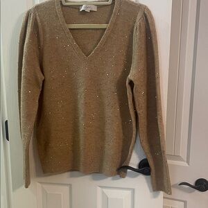 LOFT Women's Glittering Beige V-Neck Sweater